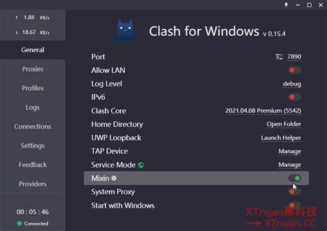 Windows TUN . . Clash for windows mixin
